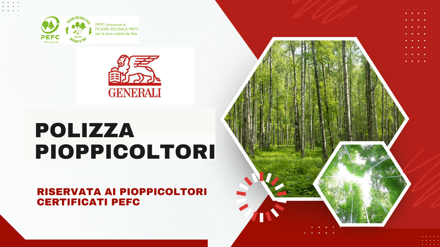 Assicurazione Pioppeti