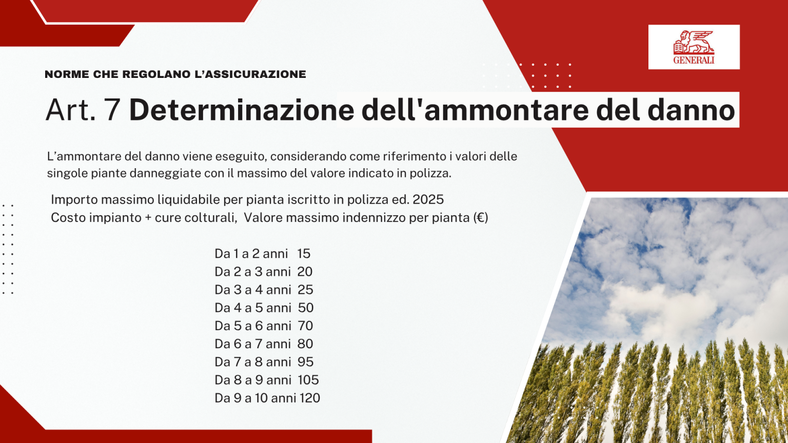 Art. 7 - Determinazione del danno: tabella degli importi massimi indennizzabili per pianta in base all'eta