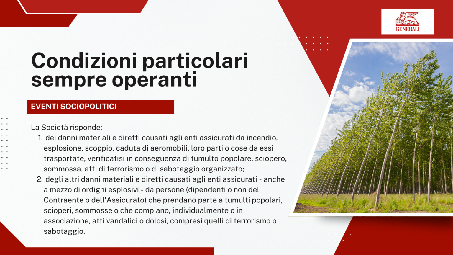Condizioni particolari sempre operanti - Eventi sociopolitici: cosa copre la Societa