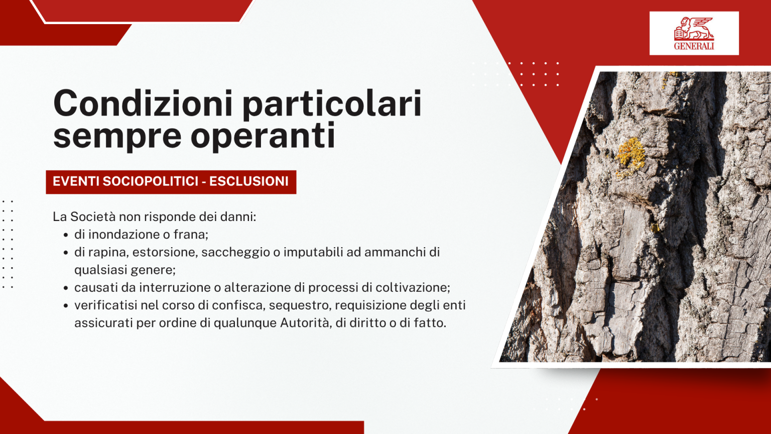 Condizioni particolari sempre operanti - Eventi sociopolitici: esclusioni