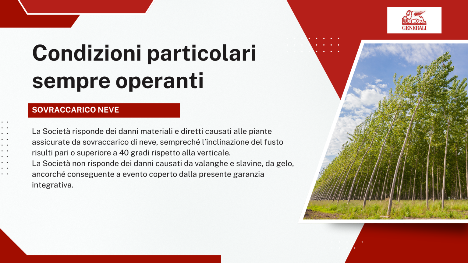 Condizioni particolari sempre operanti - Sovraccarico neve