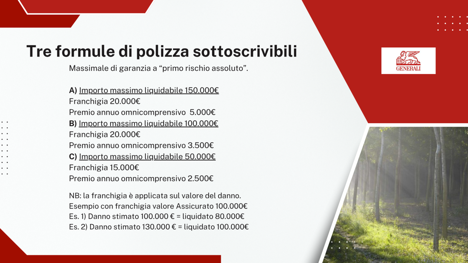 Tre formule di polizza sottoscrivibili con relativi massimali, franchigie e premi annui