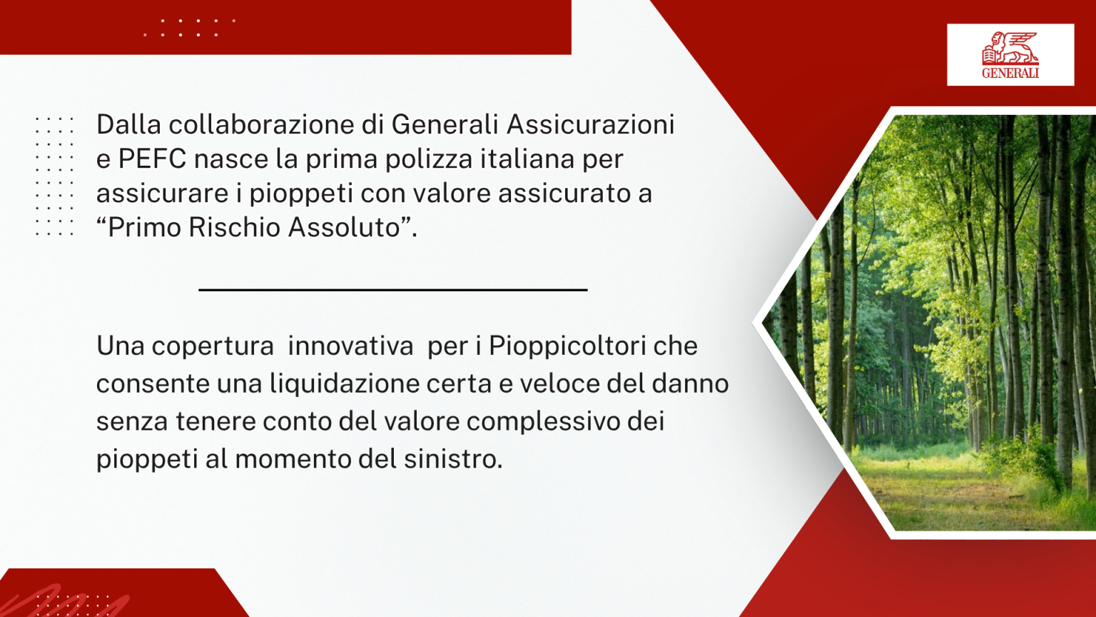 Presentazione: prima polizza italiana per assicurare i pioppeti a Primo Rischio Assoluto, nata dalla collaborazione tra Generali e PEFC