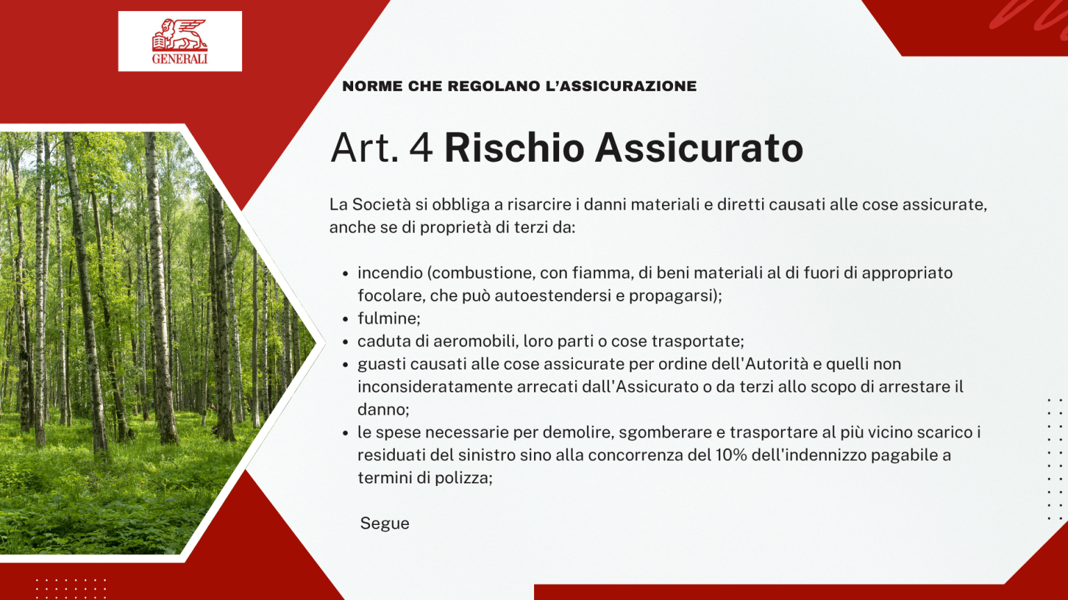 Art. 4 - Rischio assicurato: incendio, fulmine, caduta di aeromobili e altri eventi coperti (1 di 2)