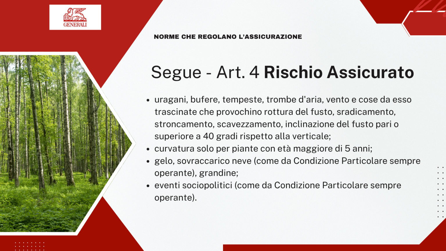 Segue Art. 4 - Rischio assicurato: uragani, vento, gelo, sovraccarico neve, grandine ed eventi sociopolitici (2 di 2)
