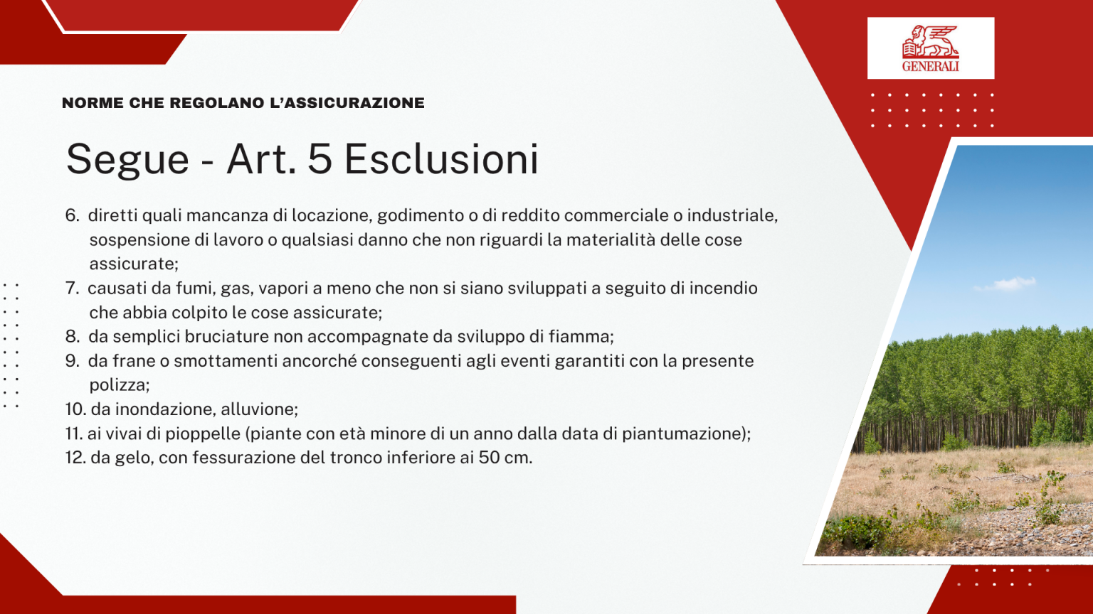 Segue Art. 5 - Esclusioni dalla copertura: mancato reddito, fumi, frane, inondazione, gelo (2 di 2)