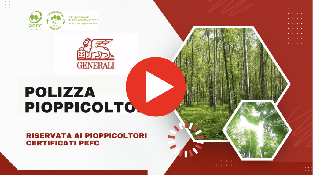 Video di presentazione della polizza pioppeti